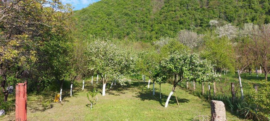 Teren intrare Herculane,E 70 Herculane-Orsova - 2