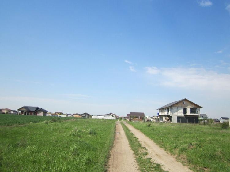 Domnesti-Simfoniei. - 5