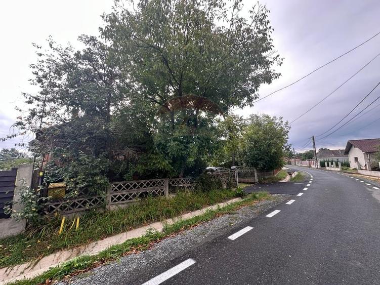 30 arii TEREN INTRAVILAN cu o GOSPODARIE veche - 8