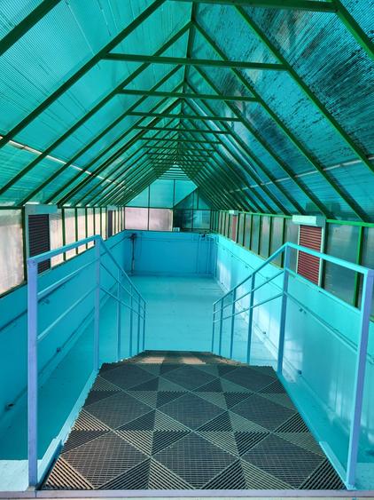 Casă de închiriat, curte mare, livadă și piscină Snagov/Ciolpani - 7