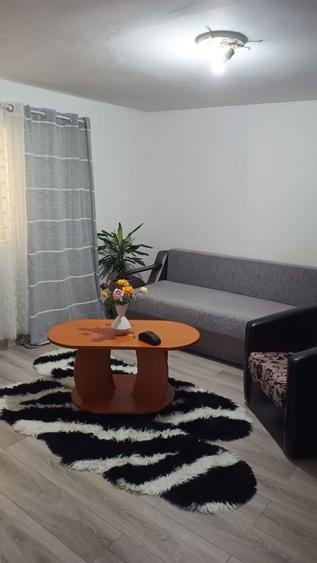 Vand casa la intrarea in Smeura,la un 1km de sensul giratoriu Trivale - 1