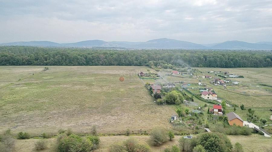 Teren Extravilan - 15