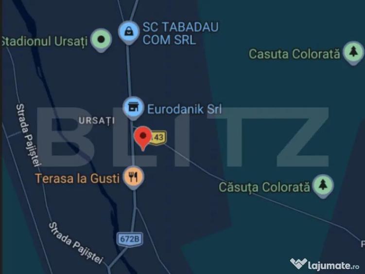 Spatiu comercial de inchiriat, 60 mp Ursati - 1