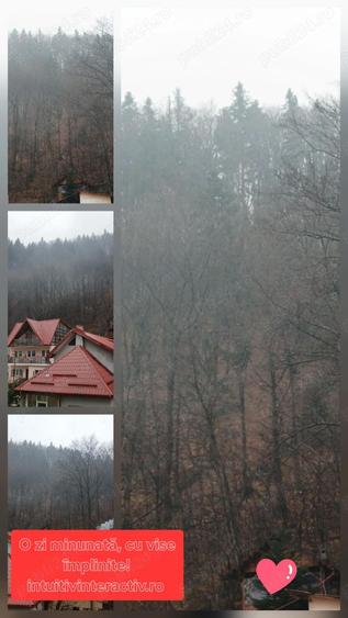 Oportunitate apartament vacan?a, investi?ie ?i activitate - 3