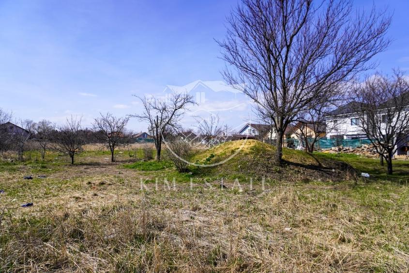 Teren Strada Mare Lumina Central - 6