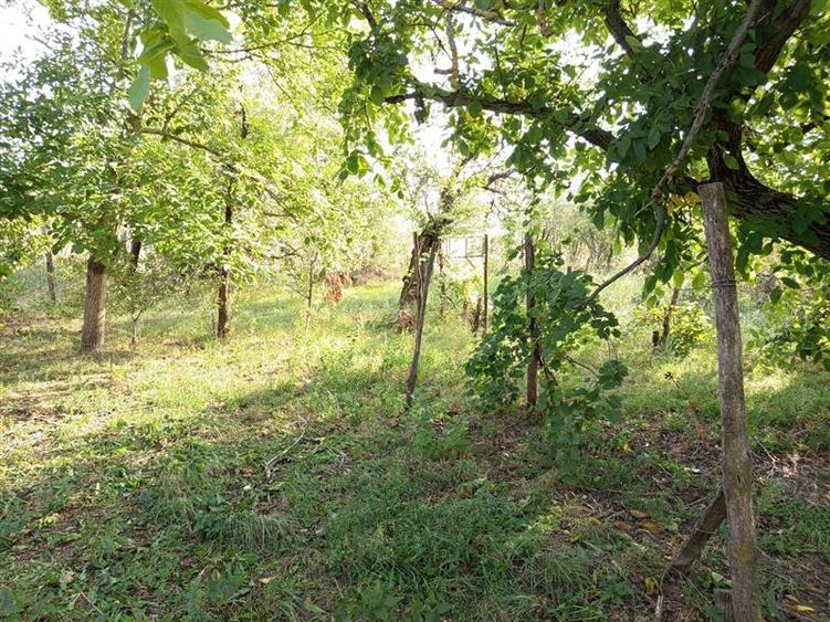 Ciuchici, Casa 7 Incaperi, 1151mp Teren, Pret Negociabil, ZERO COMISION - 13