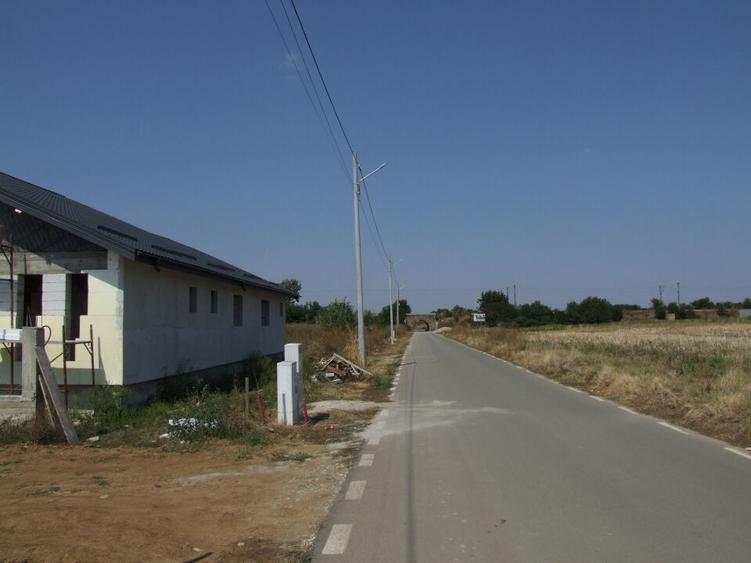 Domnesti-Salciei-stradal - 6