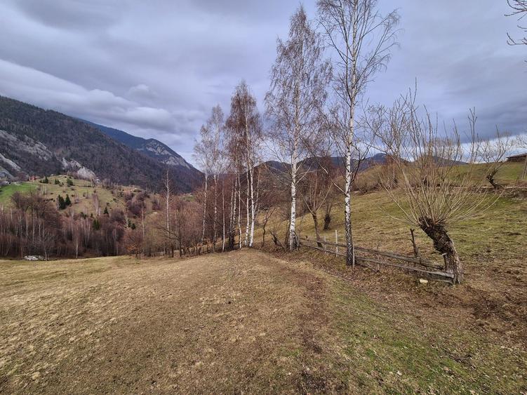 Teren cu energie speciala, Pestera/ 13570mp extravilan/Comision 0 % - 6