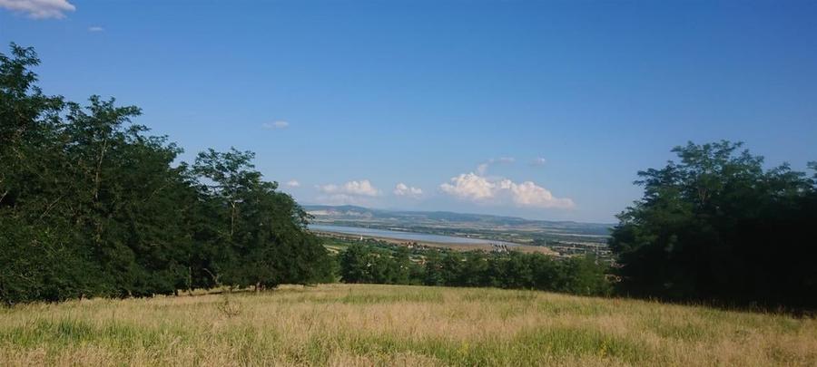 Reco  Teren extravilan Tileagd - 6