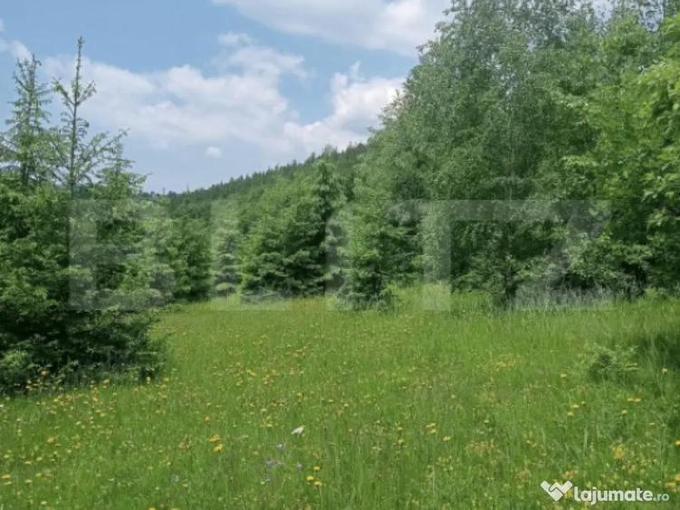 Teren intravilan de vanzare, 12000mp, Trance?ti, Scari? - 8