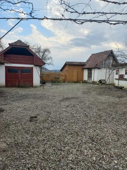 Vand casa cu anexe si gradina in suprafata de 66 de ari - 3