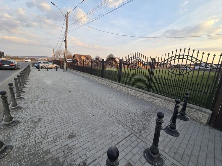 Teren 6.130 mp. deschidere la 2 drumuri 110 euro mp - 10