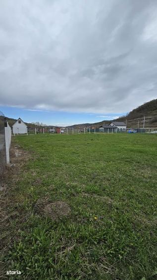 Teren drept ca-n palma - 4