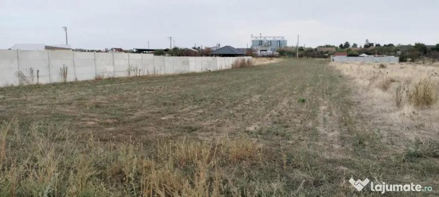 Teren intravilan Carcea 1050mp cu deschidere 16m - 1