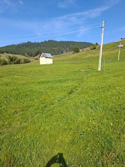 Vind teren intravilan la munte - 4