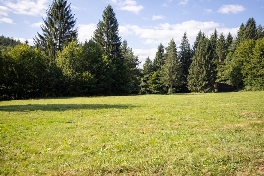 Investitie premium in turism-teren 6800mp langa lacuri Vulcan Brasov - 9