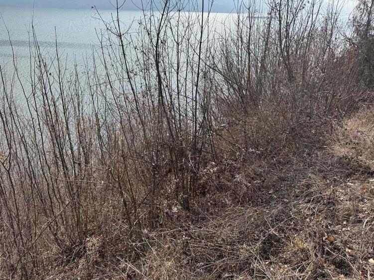 Teren intravilan Dubova 526 mp - 6