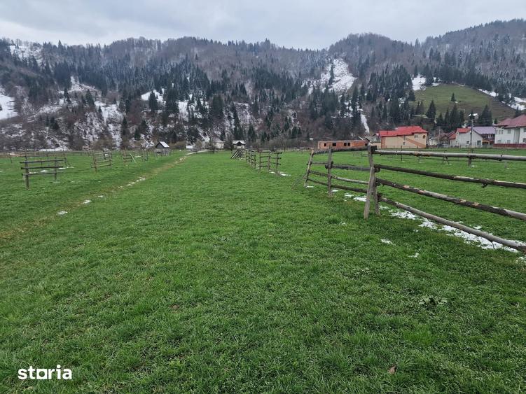 Teren de 2466 mp, în Frumosu
