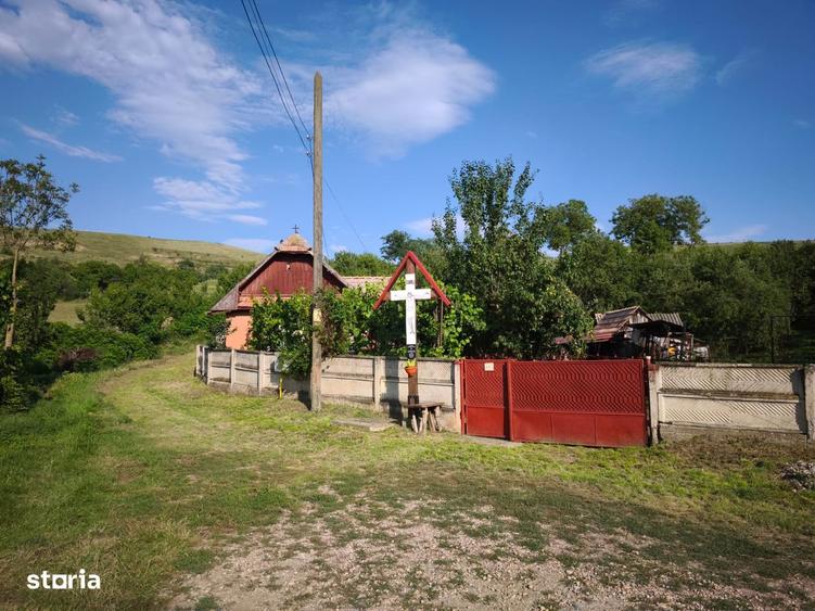 Casă cu 5 camere cu Teren 4000 Mp în Central