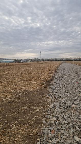 Teren Construcții intravilan de 11000 mp, în Frumușani
