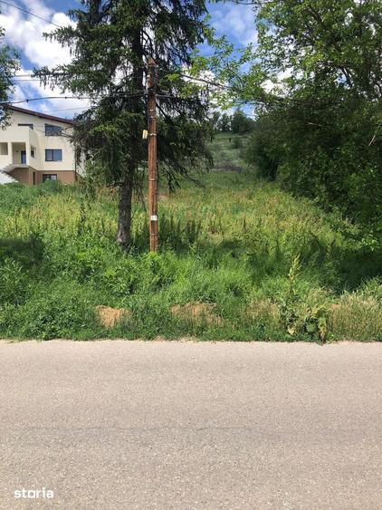 Teren de 3617 mp, în Bucovăț