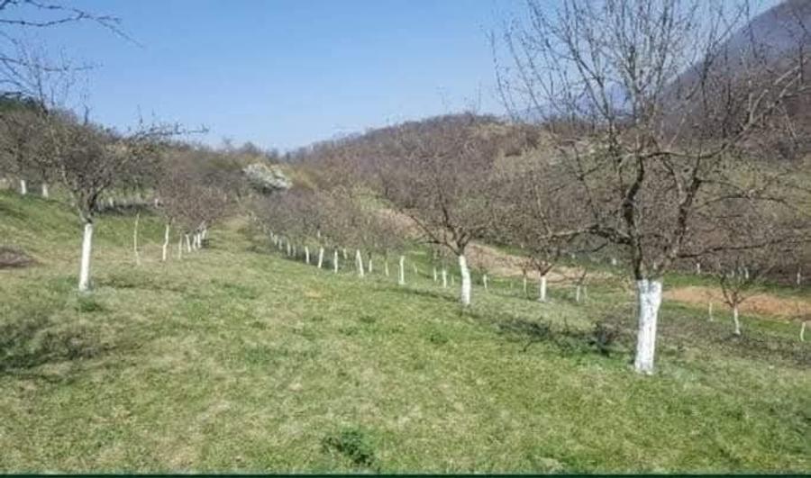 Casă cu 4 camere în Câmp