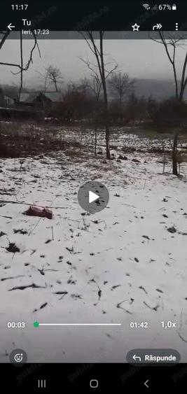 vand casa batraneasca - 1