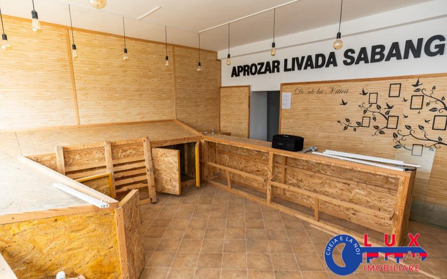 ID 6137 Spa?iu DE VANZARE STRADA Mahmudiei - 3