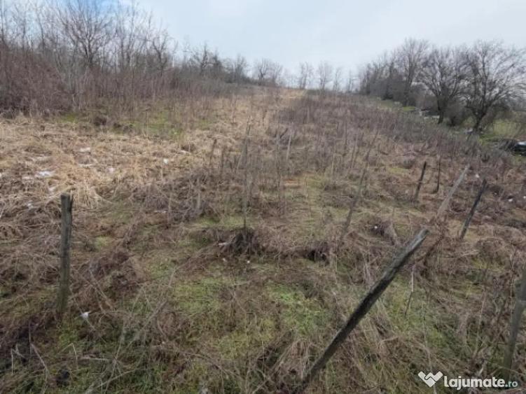 Terenarabil de 700mp la 10000 euro la 60 mp de str E70 Raco - 5
