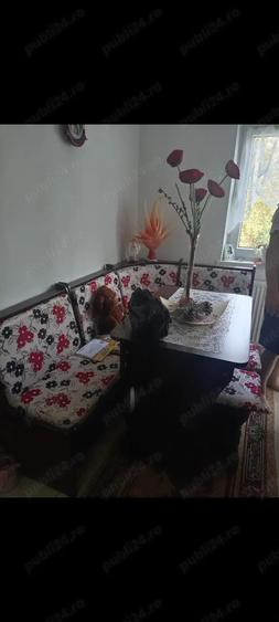 Inchiriez Garsoniera Confort 1 Sporit - 5