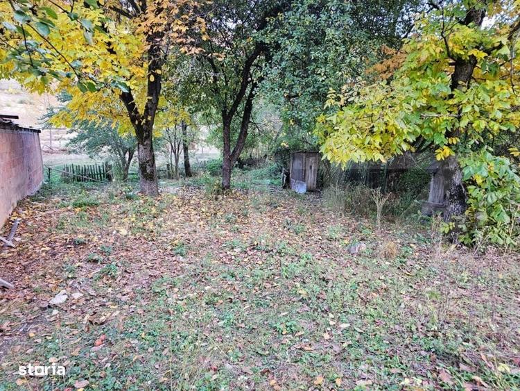 Casă cu 2 camere în Târsa