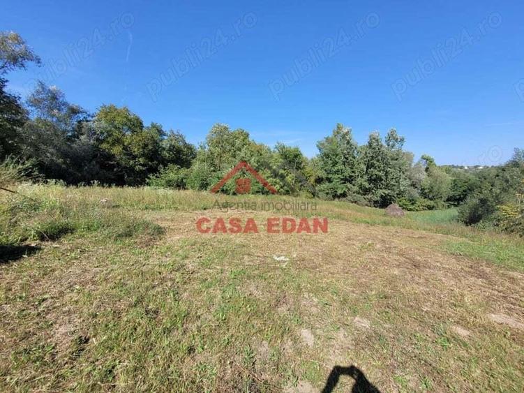 Teren intravilan in Poiana Campina 4285 mp parcelabil 11,6e - 8