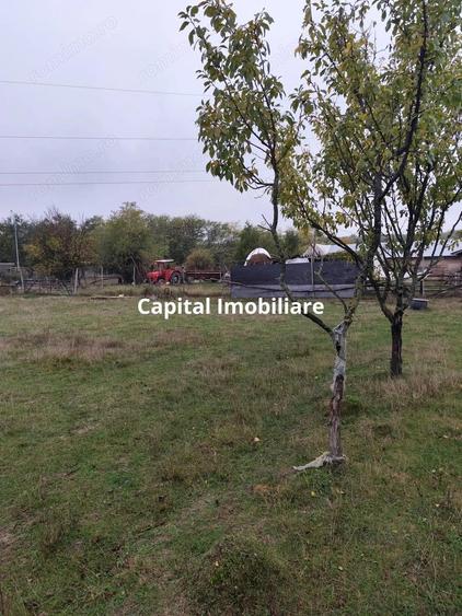 VIla de vanzare Teisani Stubeiu 11250 mp - 7