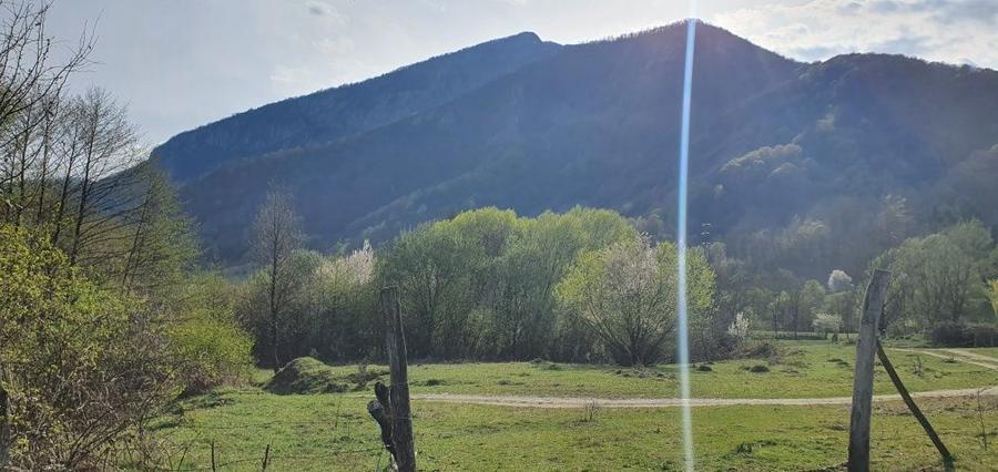 Teren intravilan Closani, 8674 mp pensiune/ casa vacanta - 3