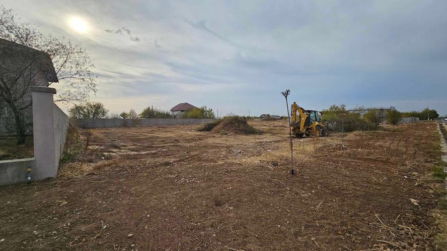 Teren intravilan Cernica la soseaua principala - 1