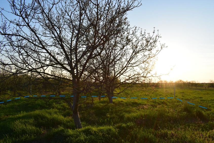Teren intravilan 1000mp + casuta mica structura metalica + casa demolabila - 5