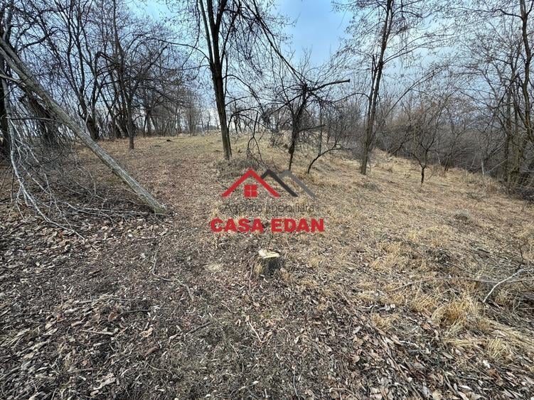Teren Construcții intravilan de 3074 mp, în Cornu de Jos (Cornu)