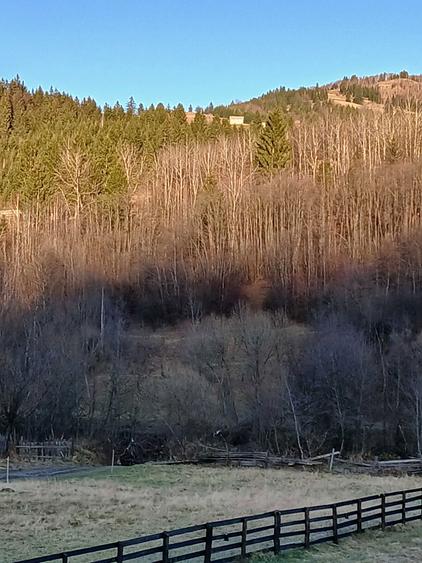 A-frame la Munte vanzare 120 000e - 4