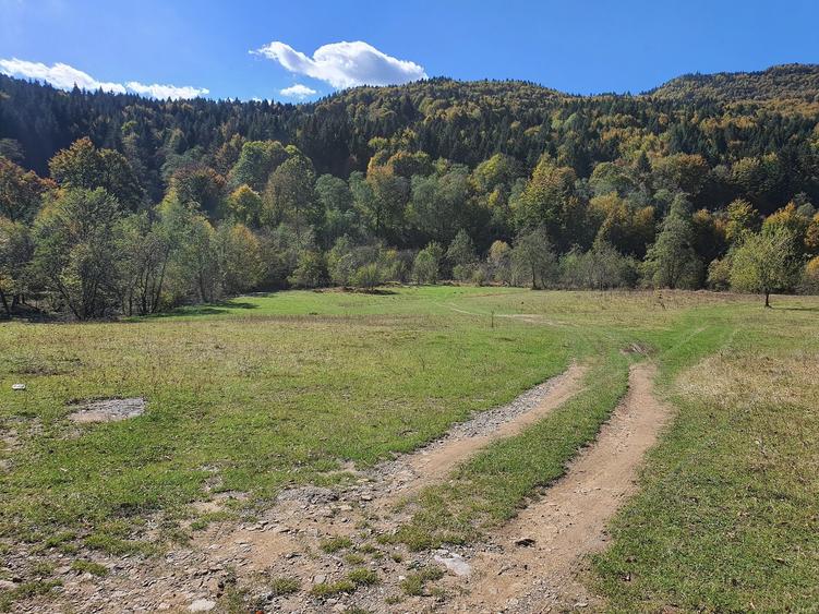 Teren Sacele Bradet 8euro/mp pretabil investitie - 2