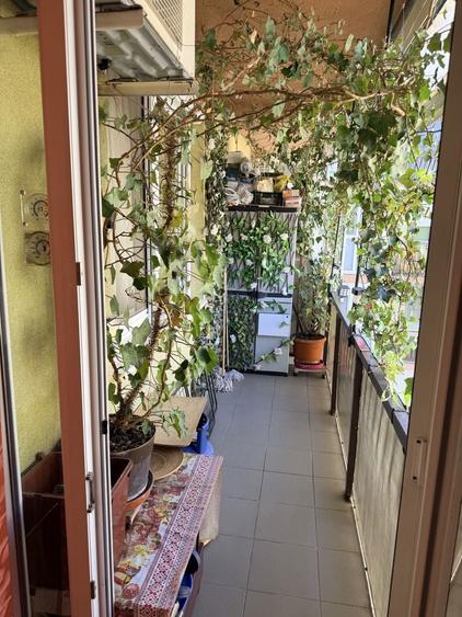 Apartament 3 camere cartieru prima nufaru piata nucetului - 3