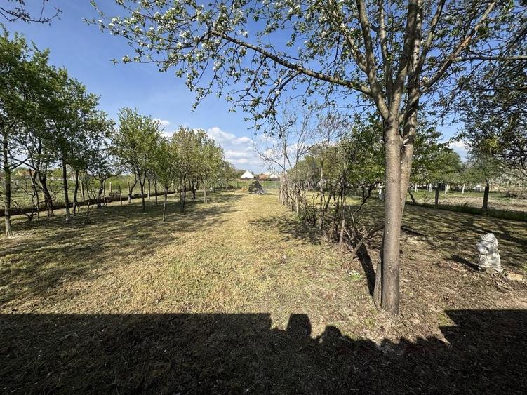 Vand 2 case cu teren in Cermei , Arad - 3