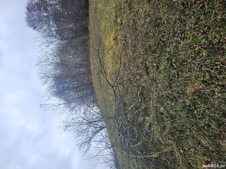 vand casa si teren - 8