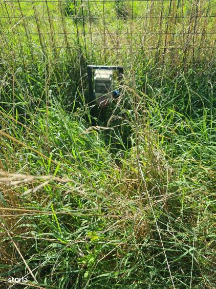 Teren intravilan-cu ceas de curent-380W,apa,canalizare,gaz. - 5