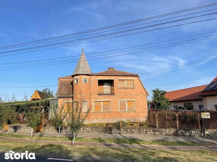 Casa, spatiu comercial, vad comercial, 7000 m2 - 4