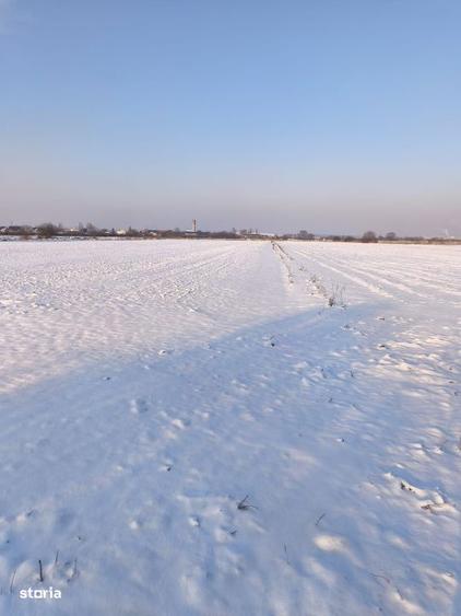 Teren intravilan, zona Scruntari, 8700mp, 30ml front stradal, Radauti - 1