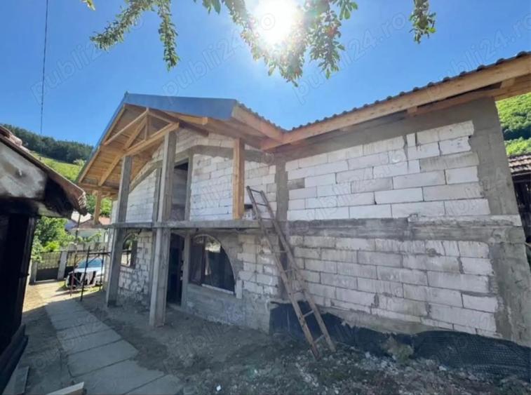 Gospodarie de vanzare (2 case) - 2