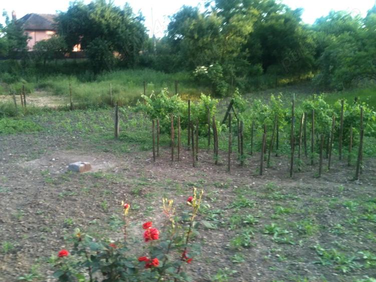 Vind casa cu teren Intravilan in Rimnicu-Vilcea Str. Buridava 34 - 10