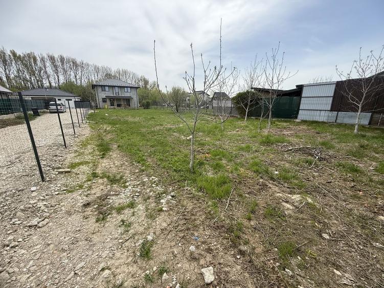 Teren Domnesti 840mp - 4