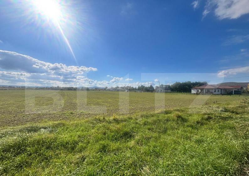 Teren Extravilan in Apropiere de Jelna 25.800 mp, cu Ut - 4