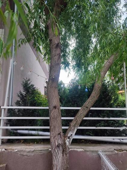 Apartament 2 Camere | Pod 15 mp |Decomandat | Mobilat, Utilat, Parcare - 18